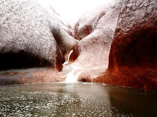 Trekking the Kuniya Walk and Experience at Mutitjulu Waterhole