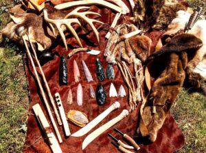 dailysoccerblog | Joining a Night Walking Tour to See Nocturnal Animals