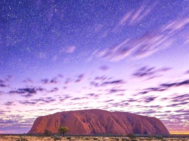 Strolling Under the Stars: A Tour of Nocturnal Animals