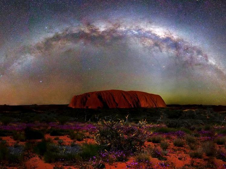 Experiencing Night Walks to Observe Wildlife