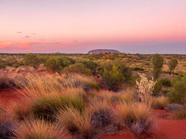 Experiencing a Live Outback Property Adjacent to Uluru