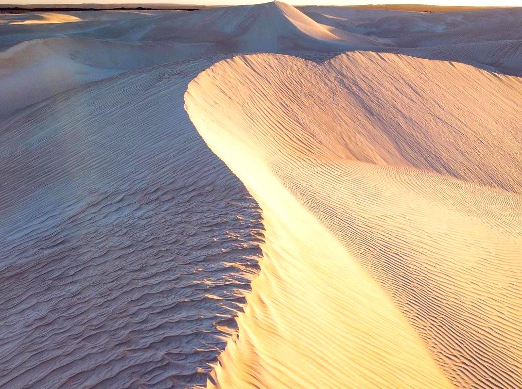 Sandboarding Adventure on the Crimson Desert Sands