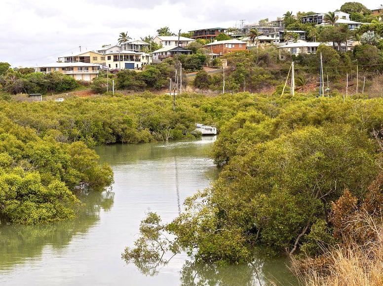 dailysoccerblog | Dukaladjarranj Swamp: Wetland Ecology in Kakadu